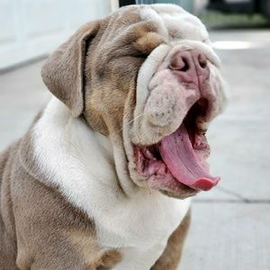 Meet your Posher, Argenis